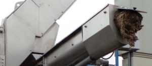 conveyor compactor for screen discharge in a wwtp